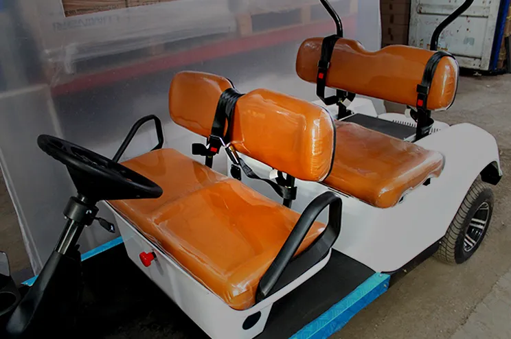 Carro de golf electrico