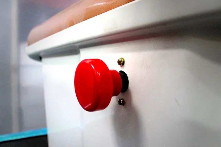 Carro de golf electrico