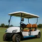 Carro de golf electrico